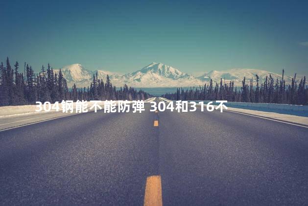 304钢能不能防弹 304和316不锈钢哪个好